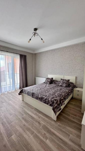 Studio apartment in Bakuriani 205